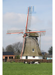 Noordsleen - Albertdina 01